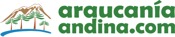 araucaniaandina.com